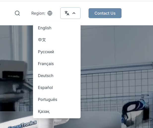Language selector showing 8 language options