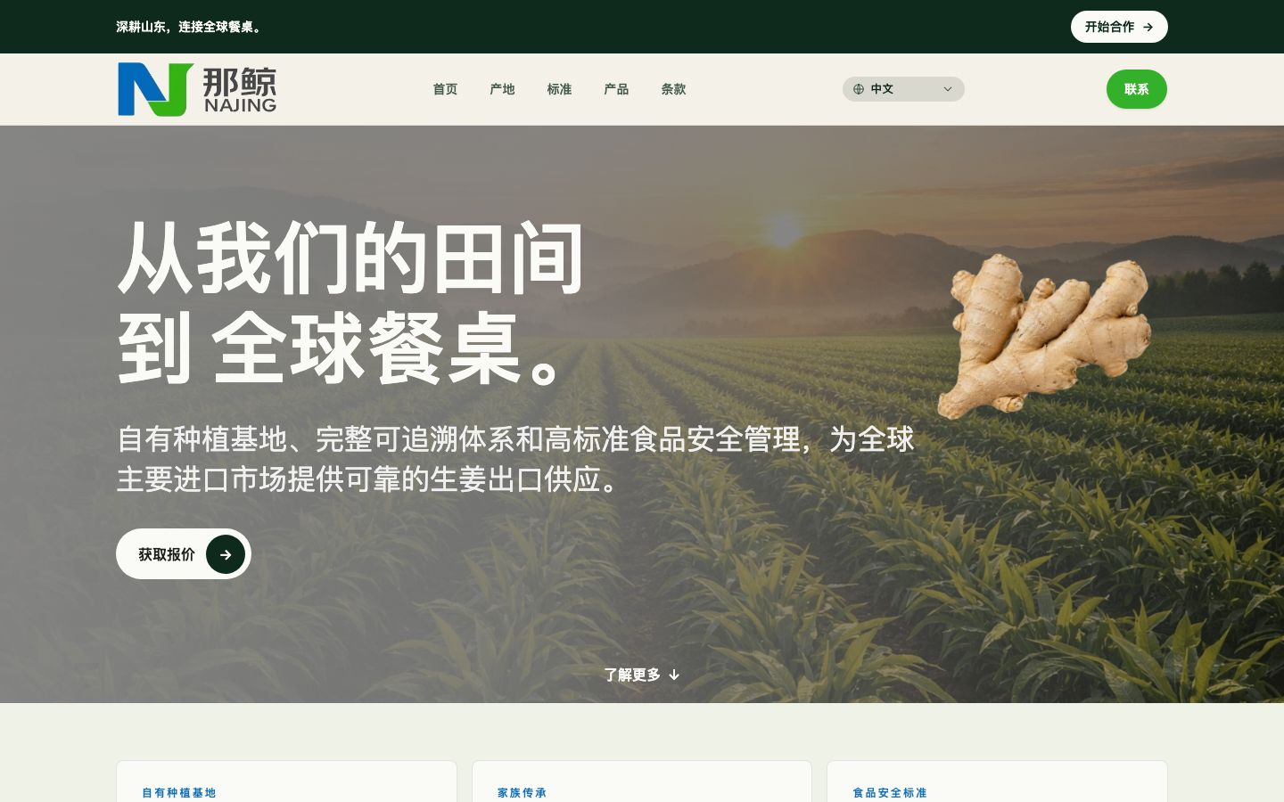 Najing food exports website screenshot - 中文