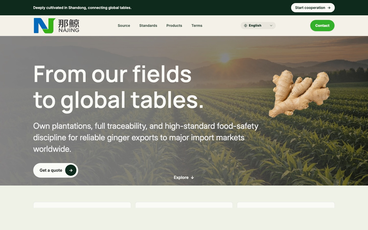 Najing food exports website screenshot